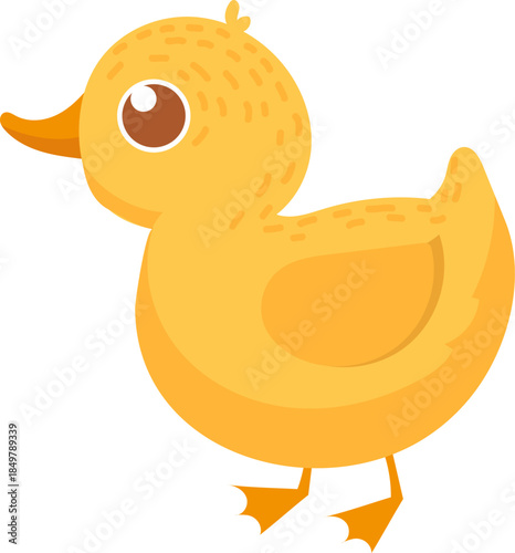 Yellow duckling standing illustrating cute farm animal concept