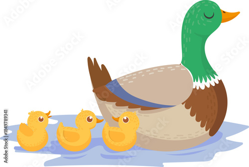 Duck and ducklings swimming together in line