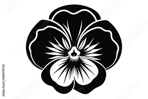 pansy silhouette line art vector illustration