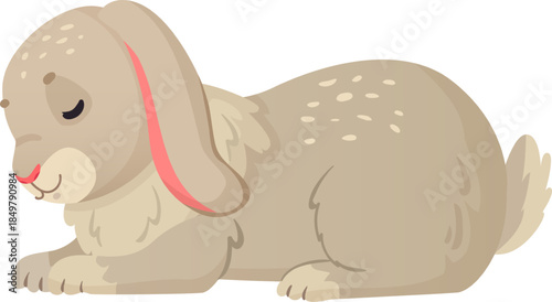 Cartoon rabbit sleeping peacefully white background illustration