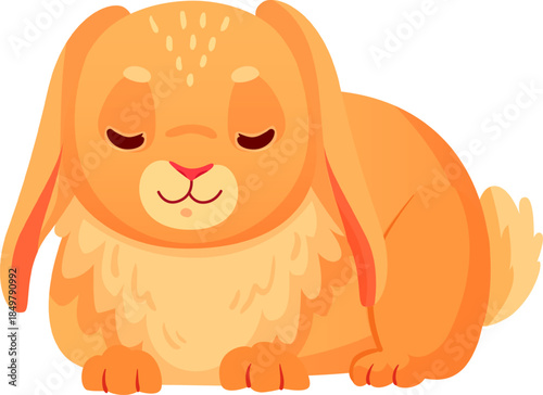 Little orange lop ear bunny sleeping peacefully