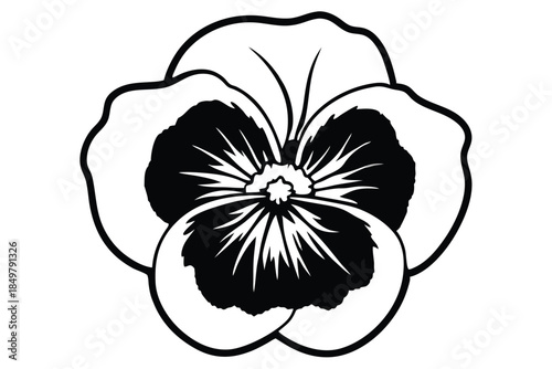 pansy silhouette line art vector illustration