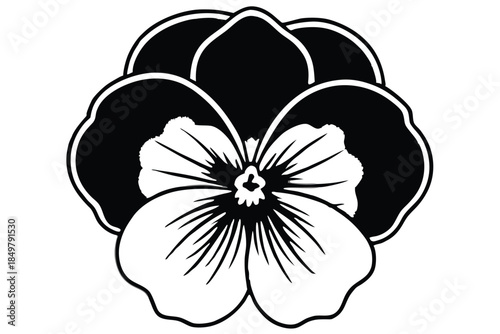pansy silhouette line art vector illustration