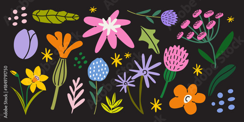Groovy wild flowers set in cartoon retro style. Bright spring plants elements and shapes. Vector nature illustration for seasonal design and holidays, greeting cards, patches, labels, stamps