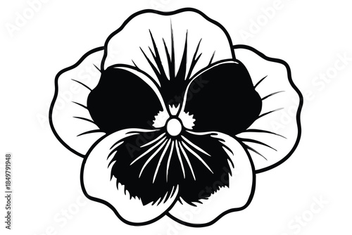 pansy silhouette line art vector illustration