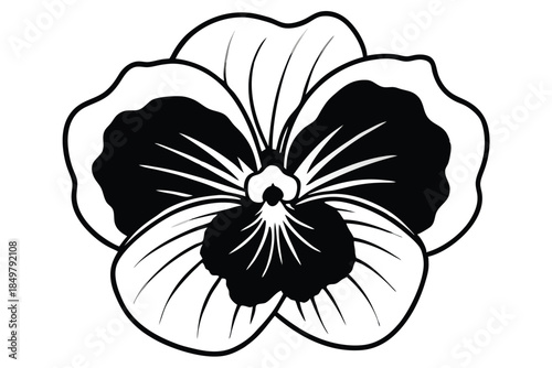pansy silhouette line art vector illustration