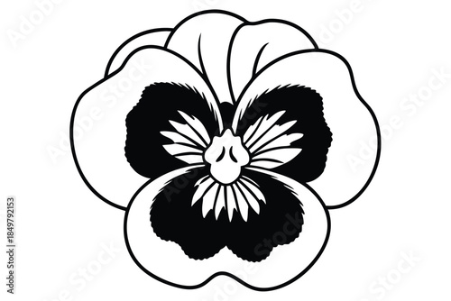 pansy silhouette line art vector illustration