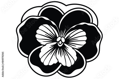 pansy silhouette line art vector illustration