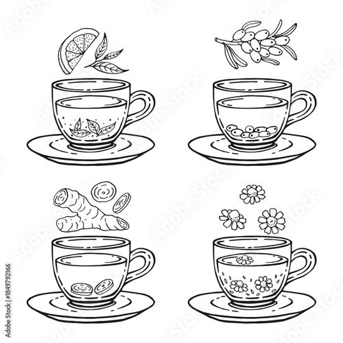 Set glass mugs of tea and saucer. Medicinal tea. Hand drawn vector illustration.
