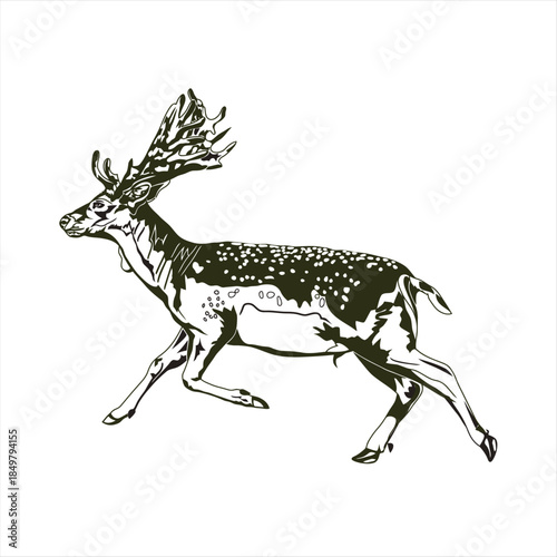 Stylized monochrome illustration of a majestic spotted fallow deer captured in a dynamic trot, showcasing its graceful movement and impressive antlers