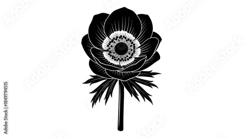 Black and White Illustration of a Lotus Flower.