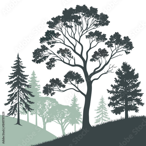 Artistic green forest landscape silhouette represent the changing nature of plant life throughout every season