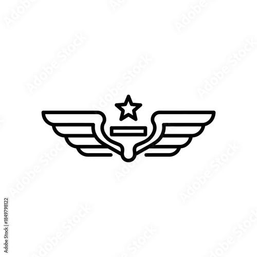 Stylized aviation insignia, emblem of flight with symmetrical wings and a central star designation