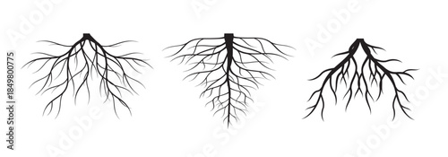 Set of black tree roots. Outline flat Illustration.