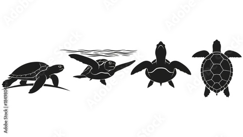 Black Turtle Silhouette Vector Set Showing Walking Swimming Shell Top View