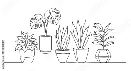 One line drawing of houseplants in pots. Minimalist indoor plant illustration for home decor themes.