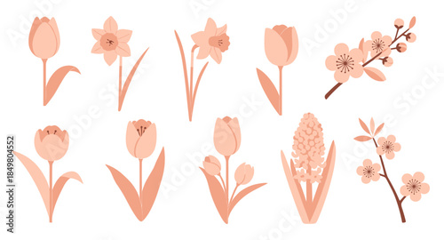 Flat spring flower icons with tulips, daffodils, cherry blossoms, hyacinth, and floral branches.