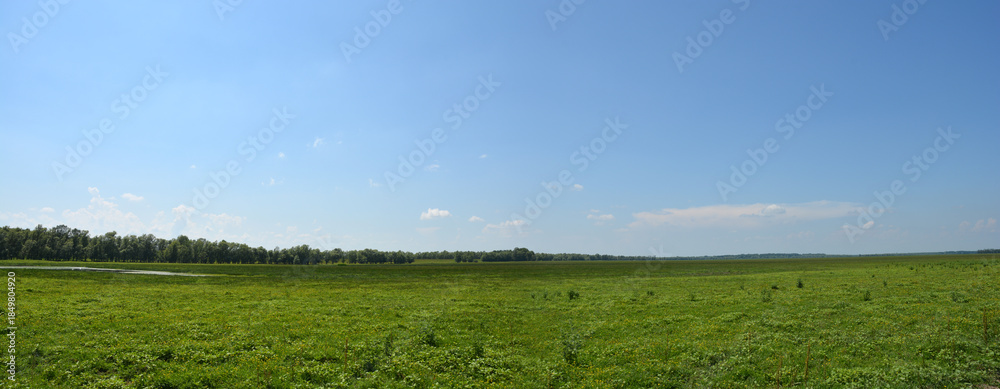 Εκτύπωση καμβά A wide horizontal shot of a vast green meadow under a bright blue sky, with a st