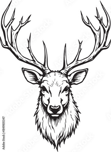 A majestic stag with magnificent antlers, rendered in a striking black and white illustration.