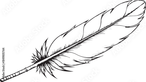 A delicate feather illustration elegantly floats, showcasing detailed lines and textures. Its graceful form hints at flight and freedom.