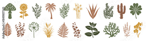Plant silhouettes black vector collection: Fern Moss Cactus Algae Ivy Palm tree Bamboo Mushroom Toadstool Lichen Seaweed Grass Aloe vera Eucalyptus Sunflower Dandelion Clover Lavender Mint Orchid