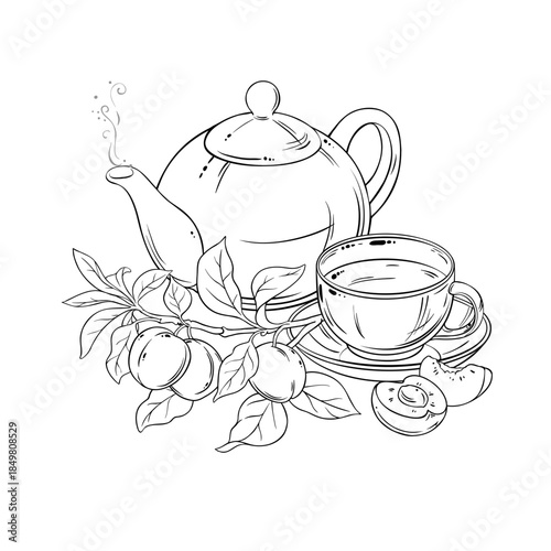 Apricot Tea in Teapot aroma beverage Outline Illustration. Vector isolated for Design and Decoration for Cafeteria, Posters, Banners, Cards.