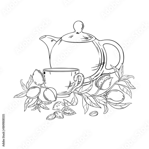 Almond Tea in Teapot aroma beverage Outline Illustration. Vector isolated for Design and Decoration for Cafeteria, Posters, Banners, Cards.