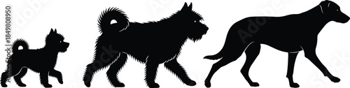 Silhouette illustration of three dogs in progressive sizes showing growth stages and breed diversity for pet design and education