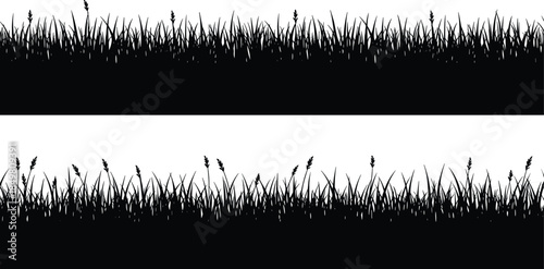 Black silhouette grass border, wild meadow edge, nature divider, botanical trim, outdoor landscape element, floral spike, vector illustration, isolated