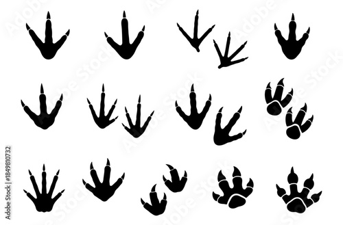 Bird and dinosaur footprint silhouette set with chicken duck eagle and reptile claw tracks icons