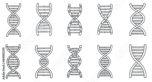 A collection of ten various DNA double helix illustrations in outline vector style, suitable for biology and genetics projects