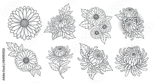 A collection of hand-drawn floral illustrations featuring various flower designs in outline vector style, perfect for decorative projects