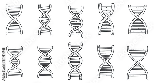 A collection of DNA double helix illustrations in outline vector style, ideal for scientific and educational projects