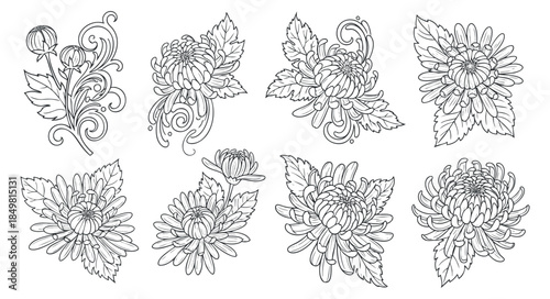 A collection of intricate floral designs featuring various flowers and leaves in black and white outline vector style, perfect for artistic projects and decorations