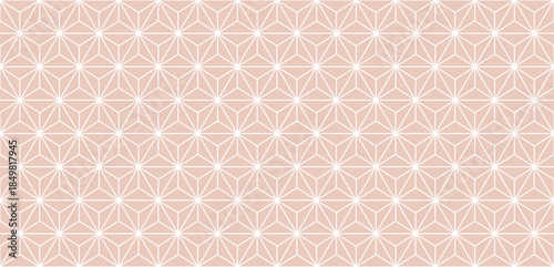 Seamless vector pattern with geometric hexagon star shapes abstract peach pastel soft color symmetric tiling modern decorative background stylish surface design elegant repeating digital wallpaper