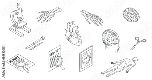 A collection of medical illustrations including a microscope, skeleton, heart, brain, and report in outline vector style, suitable for educational and health-related projects