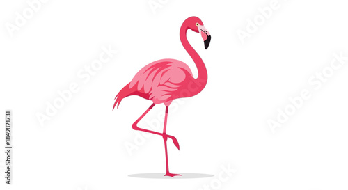 Striking flamingo illustration standing gracefully in vibrant pink tones against white backdrop