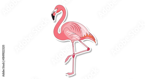 Elegant flamingo illustration with a graceful posture showcases detailed vector graphics and