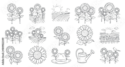 A collection of hand-drawn sunflowers and gardening elements in black and white line art style, perfect for nature-themed projects