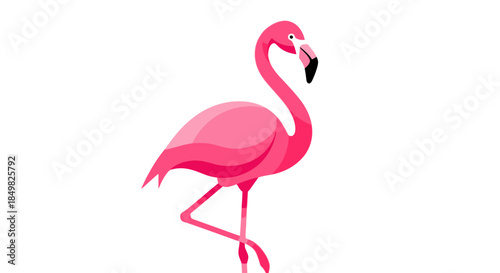 Graceful flamingo standing tall, a vivid pink illustration against a white backdrop showcasing