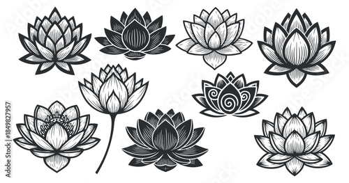 A set of lotus flower illustrations in black and white outline vector style, ideal for decorative designs and branding