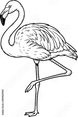 Elegant Flamingo Standing Gracefully on One Leg