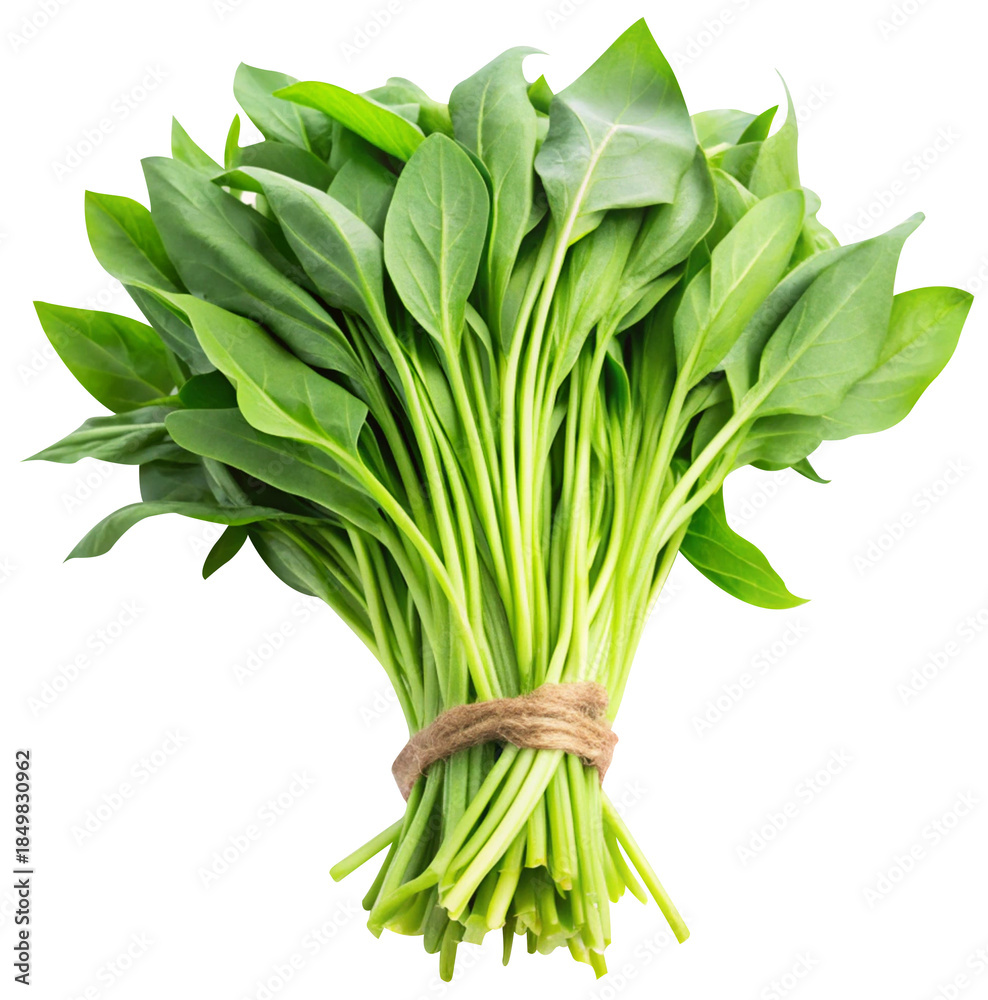Fototapeta premium fresh water spinach isolated on white background