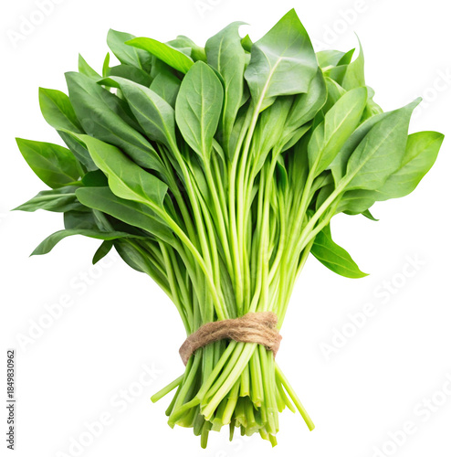fresh water spinach isolated on white background
