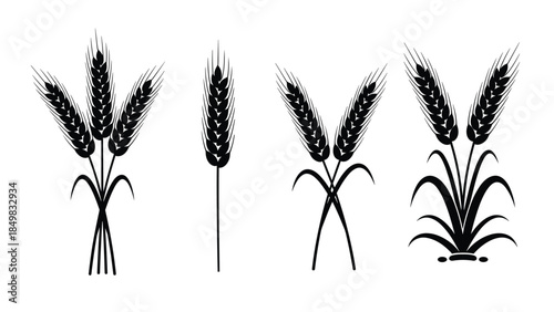 Illustration of wheat plants depicted in various black and white styles on a clean white background