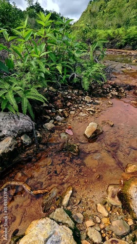 Handheld motion dolly up to reveal spring flowing among lush ferns in the red colored ground rich in sulfur and iron deposit in Tanjay, Negros Oriental, Philippines