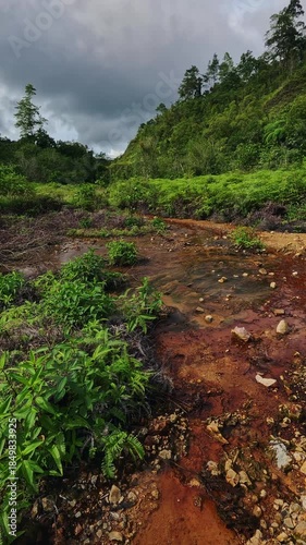 Handheld motion dolly up to reveal a unique volcanic landscape of red sulfur rich spring flowing among lush ferns in Valencia, Negros Oriental, Philippines