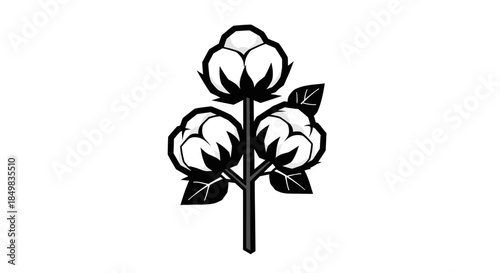 Black and white illustration of a cotton plant, conveying simplicity and elegance in design