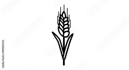 Elegant wheat stalk illustration conveying agriculture nature and organic concept for various