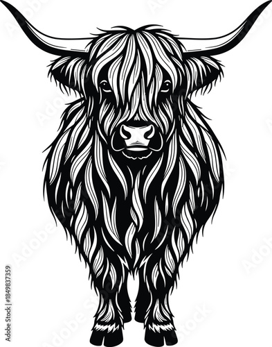 Highland cow illustration, detailed black and white hairy cattle silhouette vector artwork for farm branding, rustic logos, posters, and apparel designs